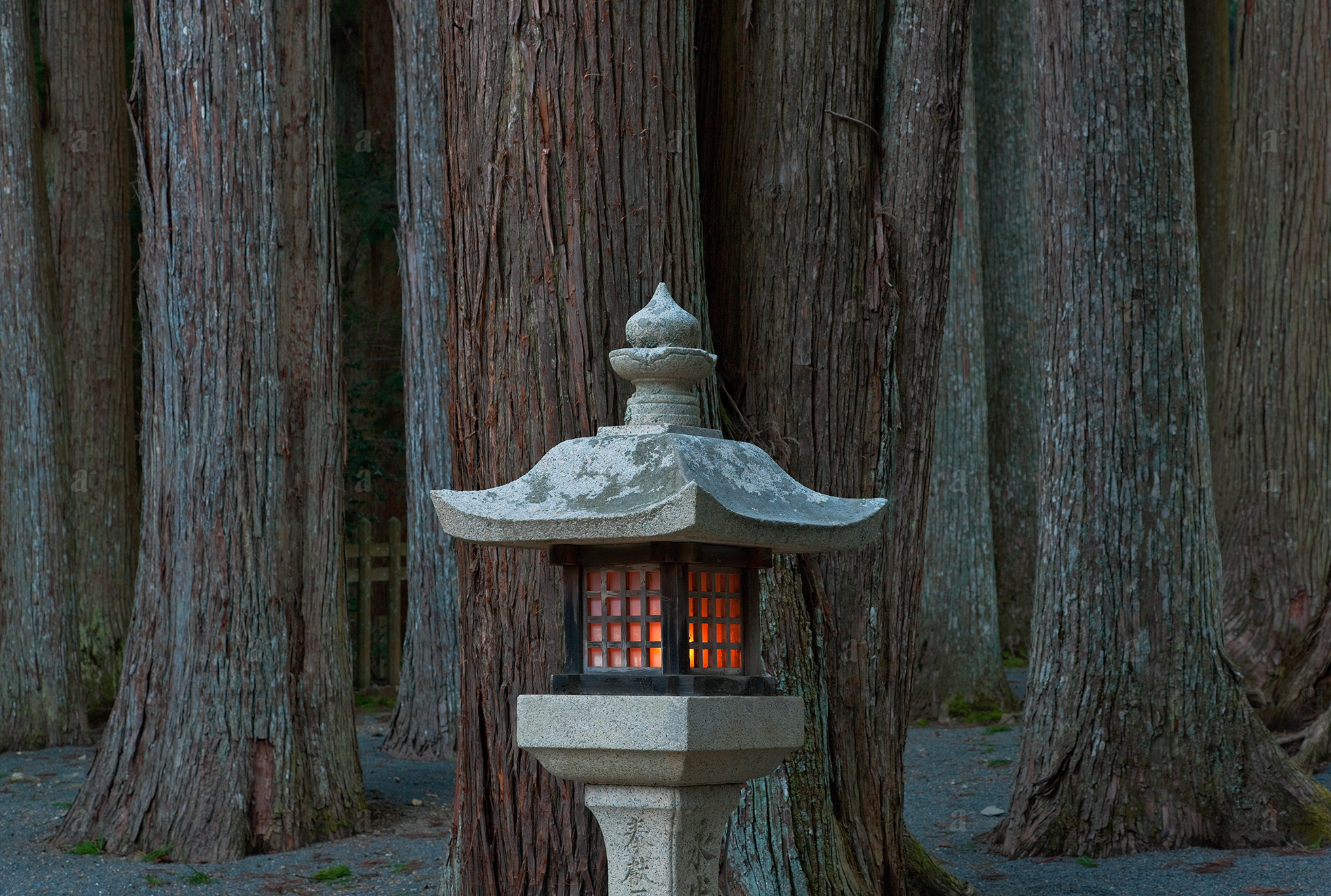 ベン・シモンズ &ldquo;壇上伽藍　高野山&rdquo; Ben Simmons &ldquo;Danjo Garan, Koyasan&rdquo;